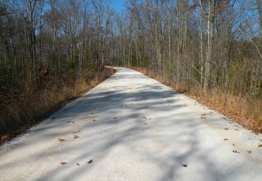 Rough Trail in late Fall